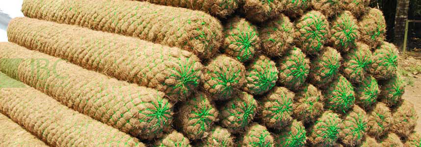 coir-log