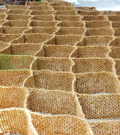 coir-sandlock