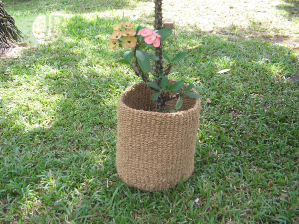 coco baskets