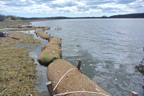 coir fiber log